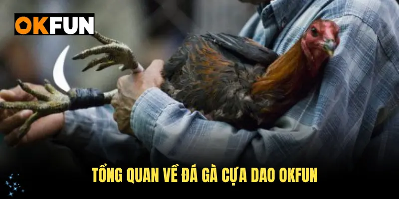 tổng quan về đá gà cựa dao okfun